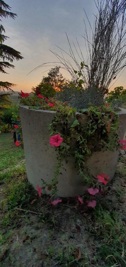 Mango Le Rose Di Mapiヴィラ エクステリア 写真