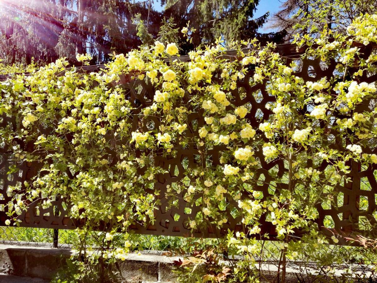 Mango Le Rose Di Mapiヴィラ エクステリア 写真